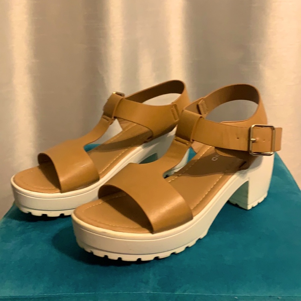 T-Strap Chunky Heel Platform Sandals